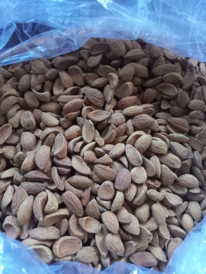 Kashmiri Curved Mamra Badam - Image 2