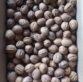 Walnut One Tree Medium
