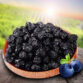 Blue Berries