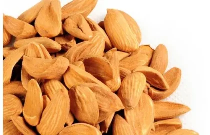 Kashmiri Mamra badam