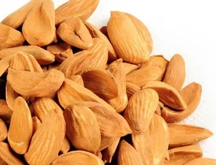Kashmiri Mamra badam