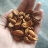Kashmiri Curved Mamra Almonds - Image 6