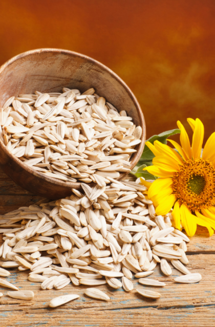 Sunflower Seeds